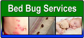 Bedbug Services